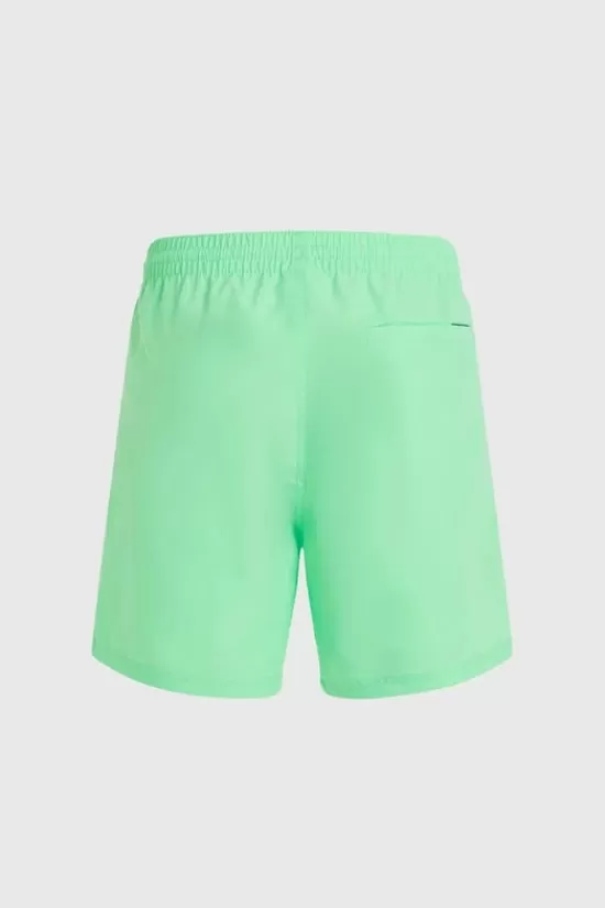 Online Zwemshort Cali 16 Zwembroeken
