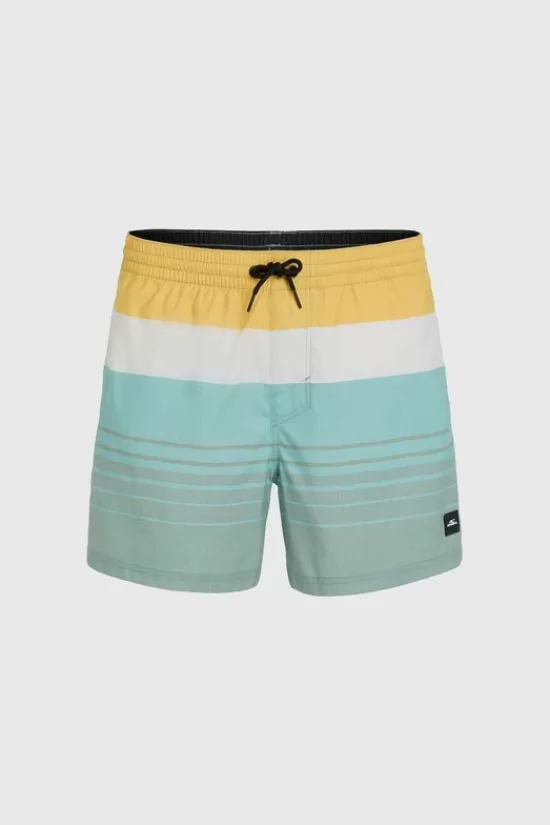 Online Zwemshort M&M Cali 15 Print Zwembroeken